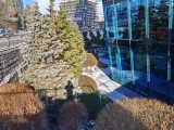 Daylight samples, main camera (1x), 50MP - 23mm, f/1.8, ISO 64, 1/238s (8192x6144px) - Realme 16 Pro+ review
