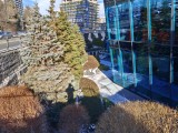Daylight samples, main camera (1x), 200MP - 23mm, f/1.8, ISO 64, 1/238s (16384x12288px) - Realme 16 Pro+ review