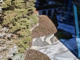 Daylight samples, telephoto camera (3.5x) - 80mm, f/2.8, ISO 64, 1/334s (4096x3072px) - Realme 16 Pro+ review