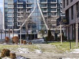 Daylight samples, telephoto camera (3.5x), 50MP - 80mm, f/2.8, ISO 80, 1/334s (8192x6144px) - Realme 16 Pro+ review