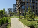 Daylight samples, main camera (1x), 50MP - 23mm, f/1.8, ISO 50, 1/2123s (8160x6120px) - Samsung Galaxy S26 FE review
