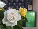 Daylight samples, main camera (1x) - 23mm, f/1.8, ISO 250, 1/100s (4000x3000px) - Samsung Galaxy S26+ review