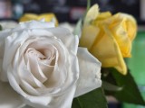Daylight samples, main camera (2x) - 46mm, f/1.8, ISO 80, 1/50s (4000x3000px) - Samsung Galaxy S26+ review