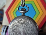 Closeup samples, main camera (2x) - 46mm, f/1.8, ISO 50, 1/50s (4000x3000px) - Samsung Galaxy S26+ review