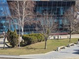 Daylight samples, telephoto camera (5x) - 115mm, f/2.9, ISO 50, 1/769s (4000x3000px) - Samsung Galaxy S26 Ultra review