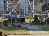 Daylight samples, telephoto camera (5x), 50MP - 115mm, f/2.9, ISO 32, 1/868s (8160x6120px) - Samsung Galaxy S26 Ultra review