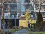 Daylight samples, telephoto camera (10x) - 230mm, f/2.9, ISO 25, 1/186s (4000x3000px) - Samsung Galaxy S26 Ultra review