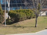 Daylight samples, telephoto camera (10x) - 230mm, f/2.9, ISO 25, 1/415s (4000x3000px) - Samsung Galaxy S26 Ultra review