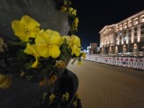 Low-light samples, ultrawide camera (0.6x) - 13mm, f/1.9, ISO 1250, 1/25s (4000x3000px) - Samsung Galaxy S26 Ultra review