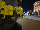 Low-light samples, main camera (1x) - 23mm, f/1.4, ISO 1000, 1/50s (4000x3000px) - Samsung Galaxy S26 Ultra review