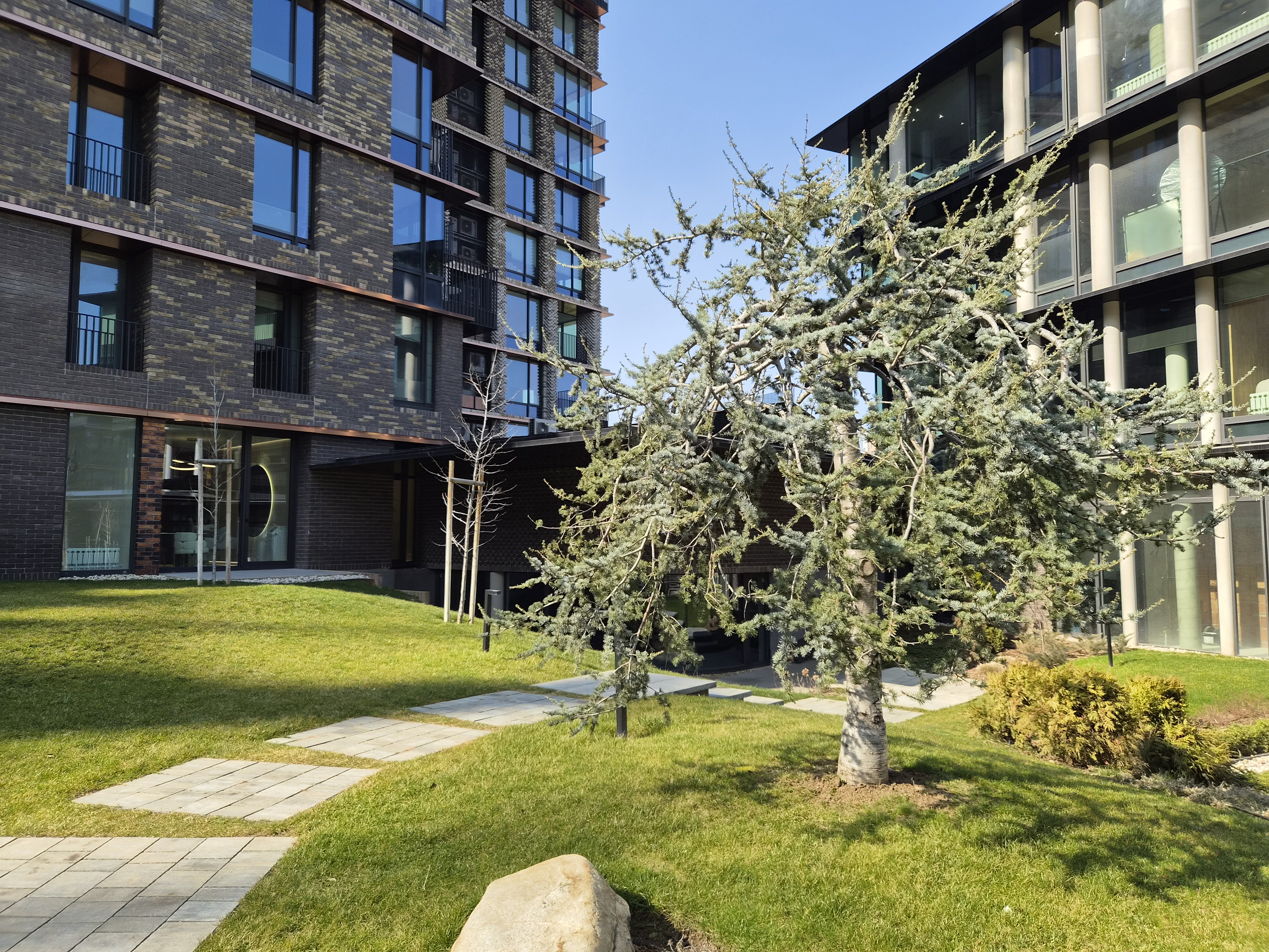 gsmarena_1109.jpg