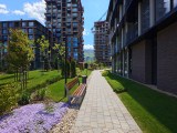 Daylight samples, ultrawide camera (0.6x) - 16mm, f/2.0, ISO 50, 1/800s (4000x3000px) - Sony Xperia 1 VIII review
