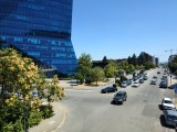 Daylight samples, main camera (1x) - f/1.9, ISO 50, 1/2000s (4000x3000px) - Sony Xperia 10 VIII review