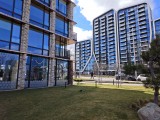 Daylight samples, main camera (1x), 50MP - 23mm, f/1.9, ISO 50, 1/850s (8192x6144px) - vivo V70 review