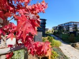 Daylight samples, ultrawide camera (0.6x) - 16mm, f/2.0, ISO 54, 1/100s (4080x3060px) - vivo X Fold6 review