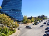 Daylight samples, main camera (1x) - 23mm, f/1.7, ISO 50, 1/1322s (4080x3072px) - vivo X Fold6 review