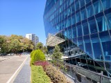 Daylight samples, main camera (1x) - 23mm, f/1.7, ISO 50, 1/412s (4080x3072px) - vivo X Fold6 review