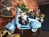 Daylight samples, main camera (1x), Refined (default, for some reason) - 23mm, f/1.7, ISO 783, 1/50s (4080x3072px) - vivo X Fold6 review