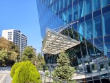 Daylight samples, main camera (2x) - 46mm, f/1.7, ISO 50, 1/163s (4080x3072px) - vivo X Fold6 review