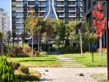Daylight samples, telephoto camera (3x), 50MP - 70mm, f/2.6, ISO 72, 1/645s (8192x6144px) - vivo X Fold6 review