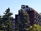Daylight samples, telephoto camera (10x) - 233mm, f/2.6, ISO 50, 1/747s (4096x3072px) - vivo X Fold6 review