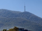 Daylight samples, telephoto camera (10x) - 233mm, f/2.6, ISO 50, 1/1026s (4096x3072px) - vivo X Fold6 review