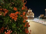 Low-light samples, ultrawide camera (0.6x) - 16mm, f/2.0, ISO 6286, 1/10s (4080x3060px) - vivo X Fold6 review
