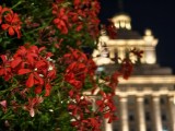 Low-light samples, telephoto camera (3x) - 70mm, f/2.6, ISO 4778, 1/7s (4096x3072px) - vivo X Fold6 review