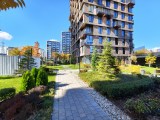 Daylight samples, ultrawide camera (0.5x), 50MP - 15mm, f/2.0, ISO 50, 1/261s (8192x6144px) - vivo X500 Pro Max review
