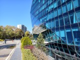 Daylight samples, main camera (1x) - 24mm, f/1.6, ISO 67, 1/603s (4096x3072px) - vivo X500 Pro Max review