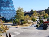 Daylight samples, main camera (2x), 25MP - 48mm, f/1.6, ISO 67, 1/860s (5792x4344px) - vivo X500 Pro Max review