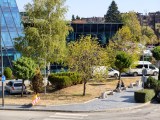 Daylight samples, telephoto camera (3.5x), 25MP - 85mm, f/2.7, ISO 69, 1/100s (5760x4320px) - vivo X500 Pro Max review