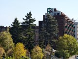 Daylight samples, telephoto camera (7x), 25MP - 170mm, f/2.7, ISO 50, 1/119s (5760x4320px) - vivo X500 Pro Max review