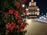Low-light samples, main camera (1x) - 24mm, f/1.6, ISO 2057, 1/14s (4096x3072px) - vivo X500 Pro Max review