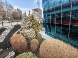 Daylight samples, ultrawide camera (0.6x) - 14mm, f/2.2, ISO 50, 1/100s (4096x3072px) - Xiaomi 17 Ultra review