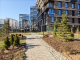 Daylight samples, main camera (1x), 50MP - 23mm, f/1.7, ISO 50, 1/3661s (8192x6144px) - Xiaomi 17 Ultra review