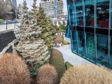 Daylight samples, main camera (1x), 50MP - 23mm, f/1.7, ISO 50, 1/718s (8192x6144px) - Xiaomi 17 Ultra review