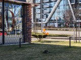 Daylight samples, telephoto camera (3.2x) - 75mm, f/2.4, ISO 50, 1/124s (4080x3072px) - Xiaomi 17 Ultra review