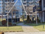 Daylight samples, telephoto camera (4.3x), 50MP - 100mm, f/3.0, ISO 50, 1/130s (8160x6144px) - Xiaomi 17 Ultra review