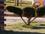 Daylight samples, telephoto camera (17.2x) - 400mm, f/3.0, ISO 50, 1/128s (4080x3072px) - Xiaomi 17 Ultra review