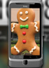 HTC Desire Z Gingerbread update coming up this month