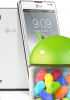 European LG Optimus L9 gets the Jelly Bean treatment