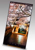 Japan Display unveils 2 QHD smartphone screens