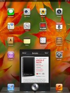 Apple Ipad Mini